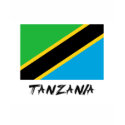 Tanzania Flag shirt
