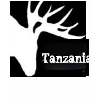 Tanzania haze t-shirts by tembimuna Tanzania haze t-shirts