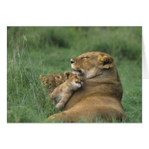 Tanzania, Ngorongoro Crater. African lion mother Card