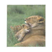 Tanzania, Ngorongoro Crater. African lion mother Notepad