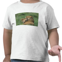 Tanzania, Ngorongoro Crater. African lion mother Tees