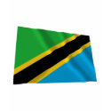 Tanzania Waving Flag t-shirts