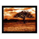 Tanzanian Safari posters