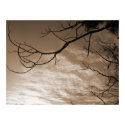 Tao Flows Everywhere posters by riverme Tao Flows Everywhere posters
