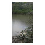 Tao O, Lantau Island, Hong Kong Custom Photo Card