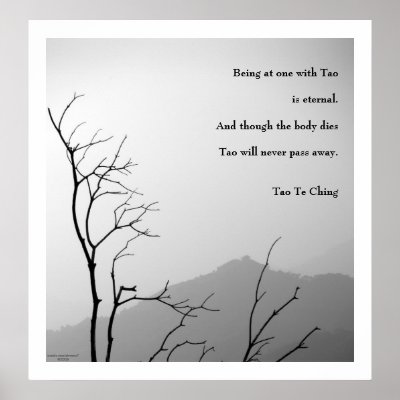 -----Inspired by Tao Te Ching( the 25th-Anniversary Edition by Gia-Fu Feng 