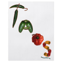 Taos Chili Peppers flyers by chili_state Taos Chili Peppers flyers