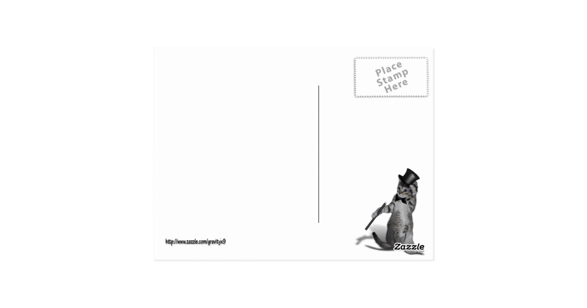 Tap Dancing Cat Postcard Zazzle