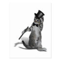 Tap Dancing Cat Postcards