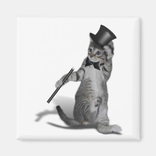 Tap Dancing Cat Refrigerator Magnet