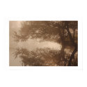 Tapestry Reflection posters