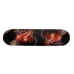 Tapestry turban (Turbo petholatus) Shell Skate Board Deck