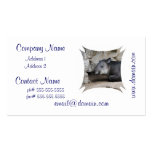 Tapir Business Cards