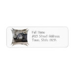 Tapir Mailing Labels