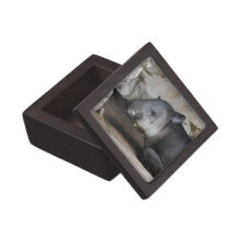 Tapir Premium Gift Box
