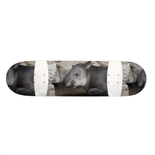 Tapir Skateboard