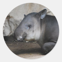 Tapir Stickers