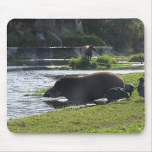 Tapir Taking A Dip In The River Mousepads