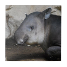 Tapir Tile