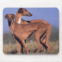 TAPIS SOURIS Deux Azawakh mousepads