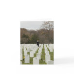 taps, autumn, sympathy, soldier, veteran, funeral,