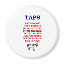 TAPS magnets