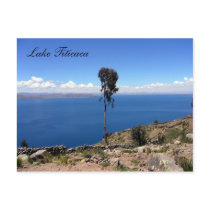 taquile tree postcards