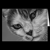 Tara - Black and White Cat Art cards