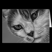 Tara - Black and White Cat Art cards