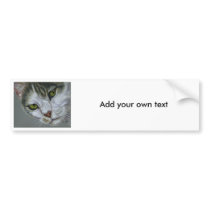 Tara - Cat Art Bumper Stickers