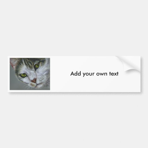 Tara - Cat Art Bumper Stickers