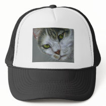 Tara - Cat Art Hat
