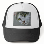 Tara - Cat Art hats