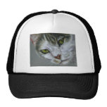 Tara - Cat Art Hat