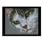 Tara - Cat Art Post Card