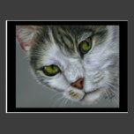Tara - Cat Art Post Card