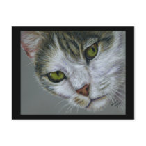 Tara - Cat Art Post Card