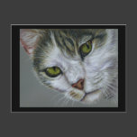 Tara - Cat Art Post Card