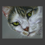 Tara - Cat Art Print