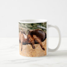 Tarantula 3 mugs