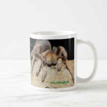 Tarantula 5 mug