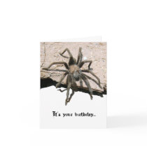 Tarantula Birthday Card
