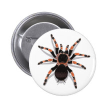 Tarantula Button