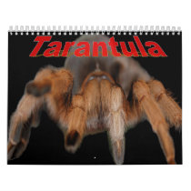 Tarantula calendars