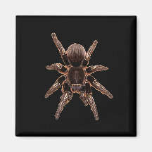 Tarantula Fridge Magnet