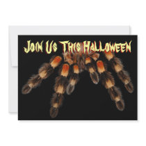Tarantula Halloween Bash Invitation