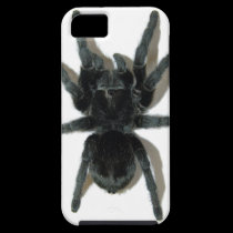 Tarantula iPhone Case casemate cases
