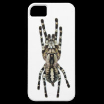Tarantula iPhone Case casemate cases