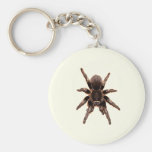 Tarantula Key Chains