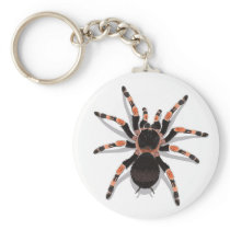 Tarantula Keychain